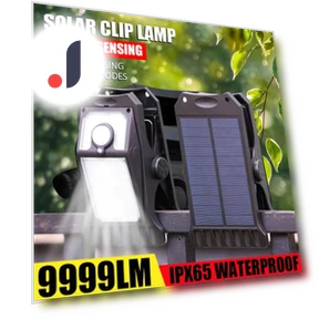 Солнечная светодиодная лампа для сада — Прожекторы и охранное освещение, LIUXING Fire Solar Lamp