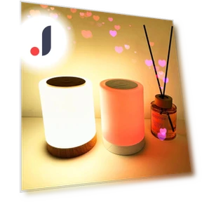 Portable Night Light with Touch Lamp — Lamps & Shades, Sunnyway