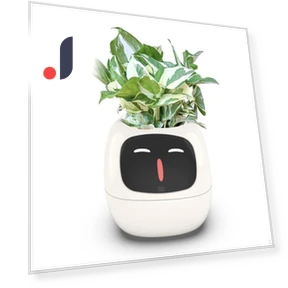 Умный цветочный горшок с роботом-навигатором — Вазы, HappyToy