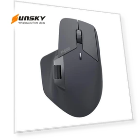 Wireless Triple Mode Ergonomic Mouse — Mouse Pads, Rapoo