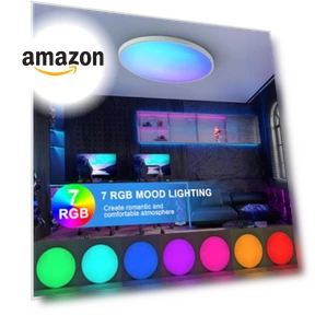 Smart Ceiling Light with Remote Control — Overhead Lighting, HENTAG