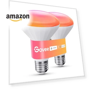 Smart Light Bulbs — Incandescent, Govee