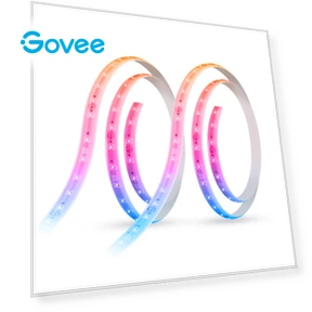 LED Strip Light — LED Strips, Govee