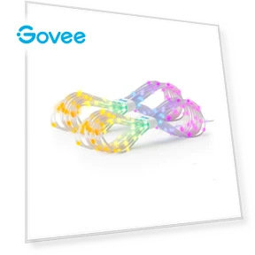 RGBIC Curtain Lights — String Lights, Govee
