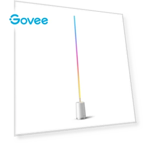RGBICWW Corner Floor Lamp — Standing Lights, Govee