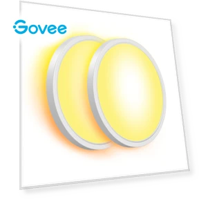 Smart Ceiling Light — Overhead Lighting, Govee