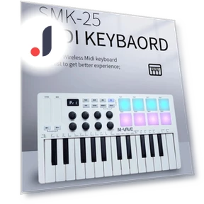 MIDI-клавиатура — Контроллеры MIDI, Miwayer
