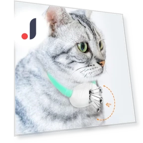 Умные ошейники для кошек — Игрушки для питомцев, Ximalaya