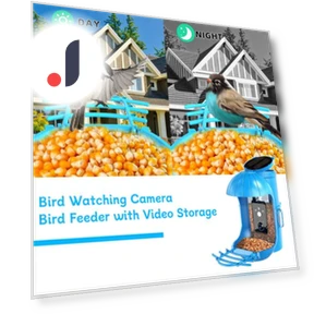 Умная кормушка для птиц с камерой — Птицы в саду, Love Pet House