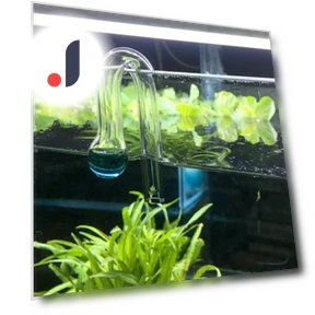 Диффузная проверка Co2 для аквариума — Гидрометры, SURTOP