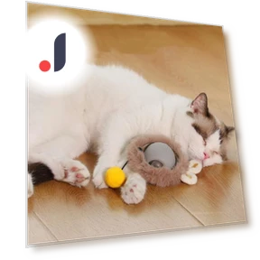 Интерактивная игрушка-мяч для кошек — Игрушки для питомцев, Pet park
