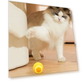 Intelligent Rolling Ball Motorized Toy for Cats — Cat Playthings