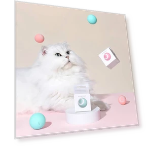 Smart Gravity Teaser Cat Rolling Ball - Teeth Resistant Cat Toy — Cat Playthings