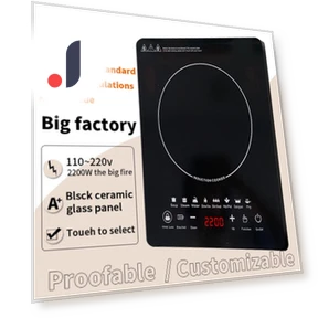 Индукционная плита — Варочные панели, DZL General Home Appliances