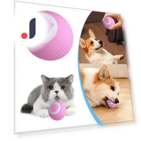 Self Rolling Ball Cat Interactive Ball — Cat Playthings, Xiangchang