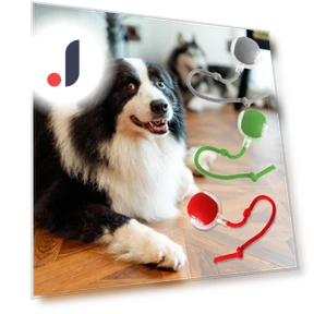 Interactive Pet Toy Ball — Cat Playthings, kaixindianpu
