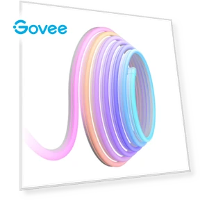 Neon LED Strip Light, 10m — Lighting by Govee