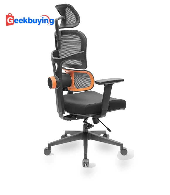 Ergonomic Chair with Adaptive Lower Back Support — Desk Chairs, NEWTRAL