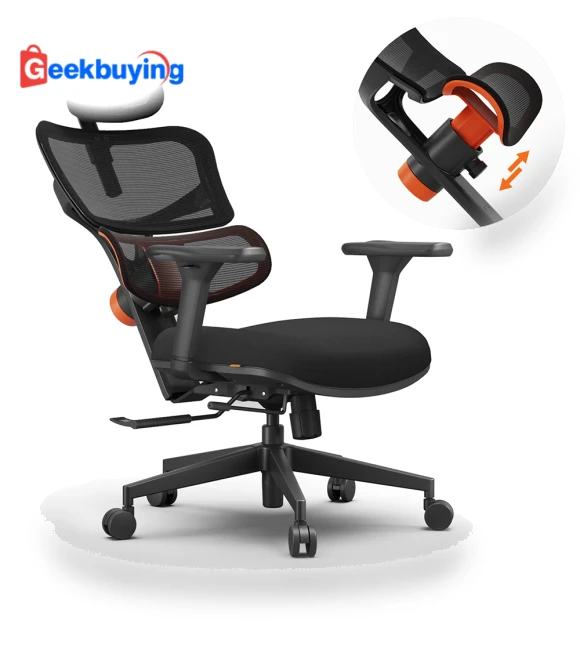 Ergonomic Chair with Adaptive Lower Back Support — Desk Chairs, NEWTRAL