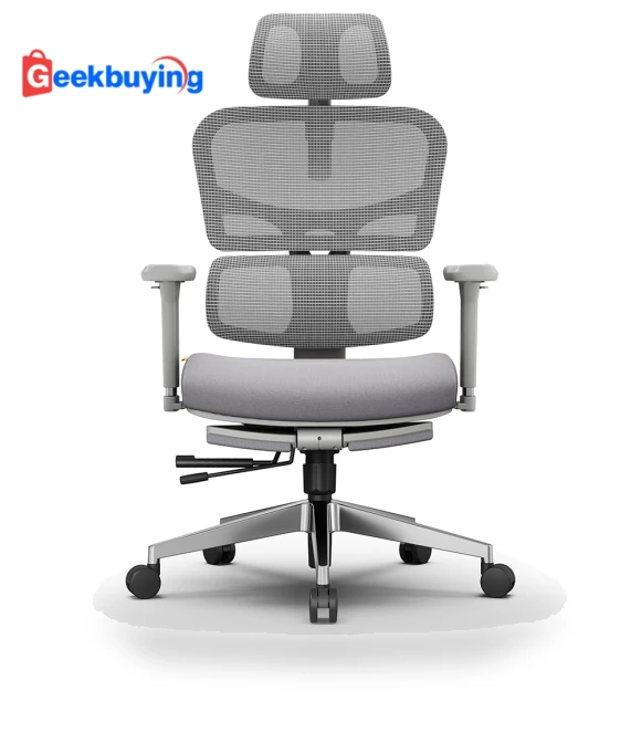 Ergonomic Chair with Adaptive Lower Back Support — Desk Chairs, NEWTRAL