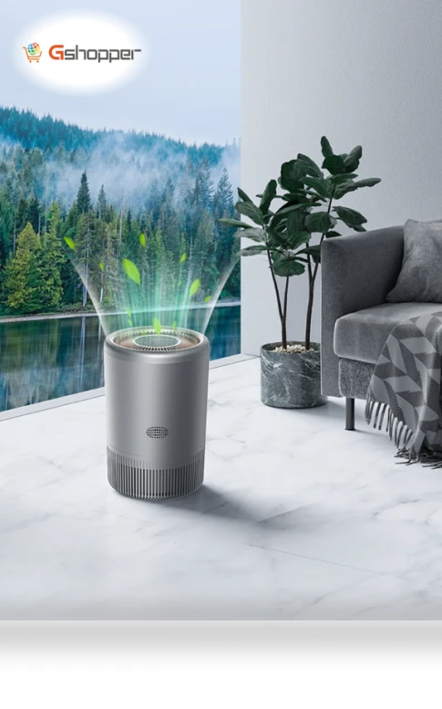 Intelligent Negative Ion Air Purifier for Home — Activated Carbon Air Purifiers, The new
