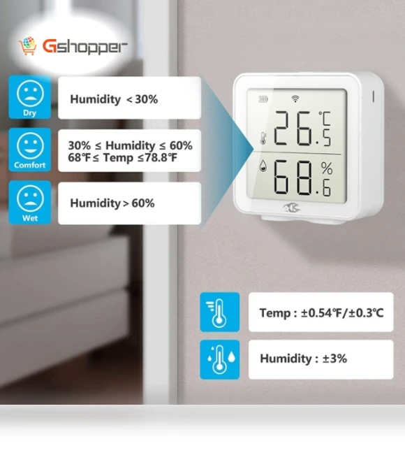 Wireless Smart Digital Home Thermometer TY-191 — Thermostats