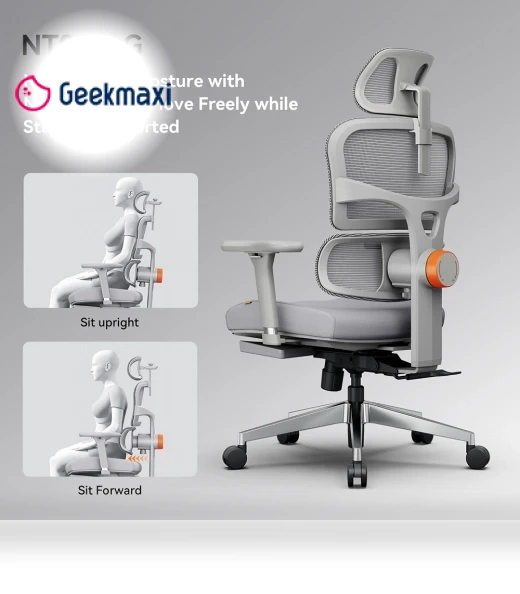 Ergonomic Office Chair with Adaptive Back Support — Chairs by NEWTRAL