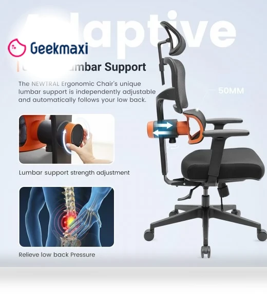 Ergonomic Office Chair with Auto-following Lumbar Support — Chairs by NEWTRAL