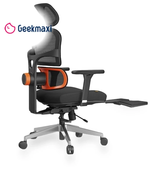 Ergonomic Office Chair with Lumbar Support — Chairs by NEWTRAL