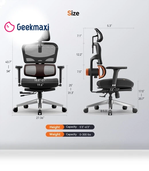 Ergonomic Office Chair with Lumbar Support — Chairs by NEWTRAL