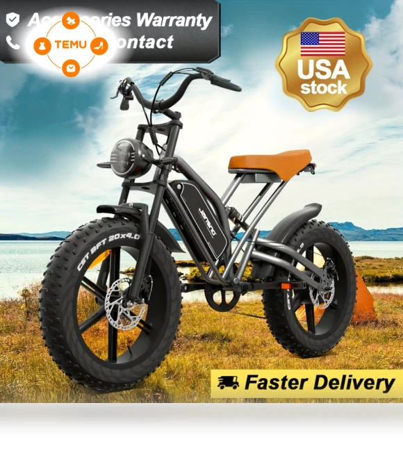 20" Fat Tire Electric Bike with 700W Motor — Bikes