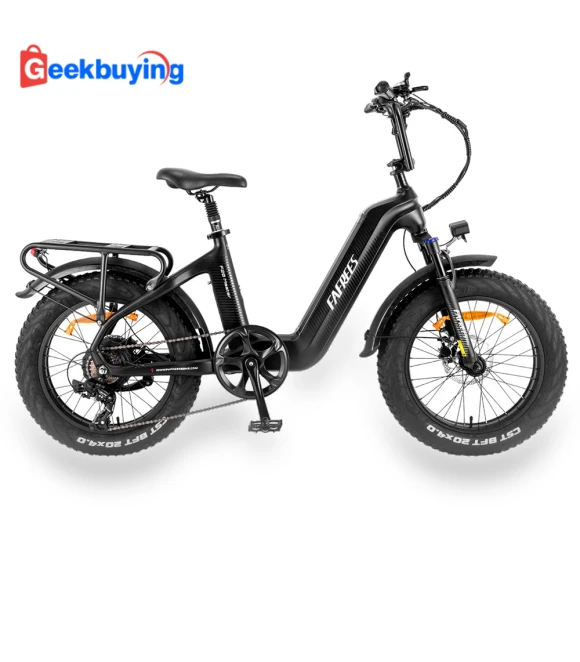 F20 Master Carbon Fiber E-bike with 500W Motor — Bikes by Fafrees