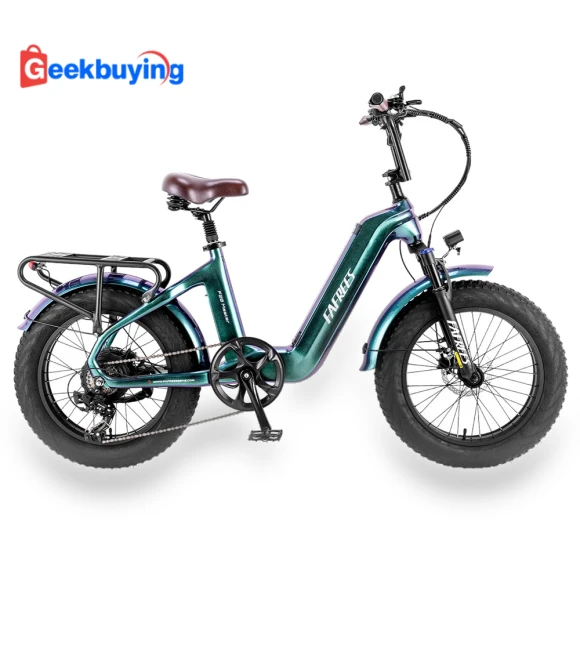 F20 Master E-bike with 500W Motor and 48V Battery — Bikes by Fafrees