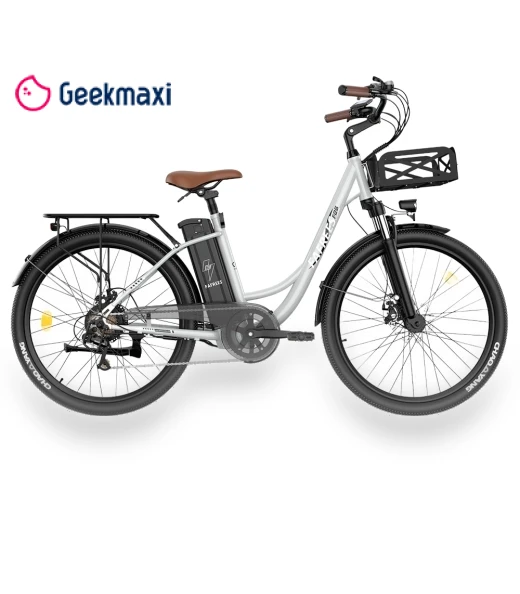 F26 Lasting Electric Bike with 250W Motor — Bikes by Fafrees