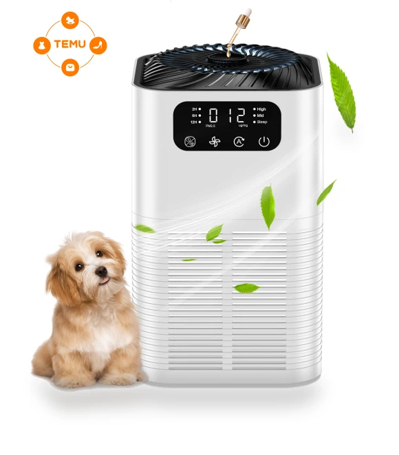 Large Room Air Purifier with H13 HEPA Filter — Air Purifiers