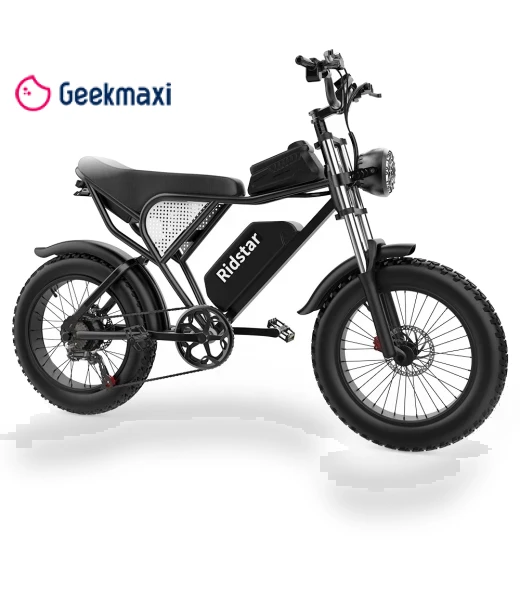 Q20 Electric Fat Tire Bike — Bikes by Ridstar