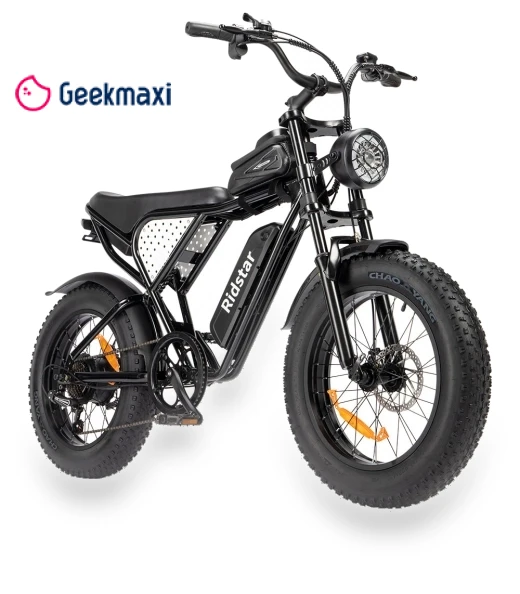 Q20 Mini Electric Bike — Bikes by Ridstar