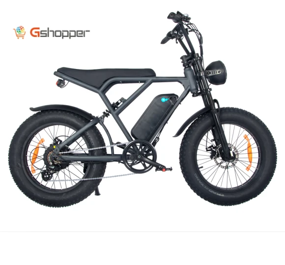 S3 Electric Bike with 7-Speed Gears and Disc Brakes — Bikes by Onesport