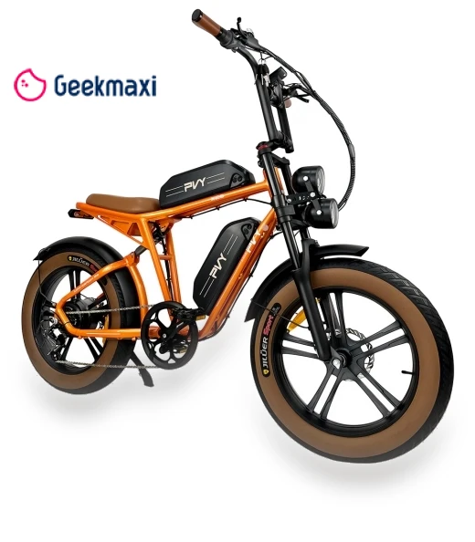 X20 Mountain Electric Bike with Fat Tires — Bikes by PVY