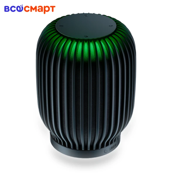 SberBoom Smart Speaker, Black — Portable Speakers by Sber