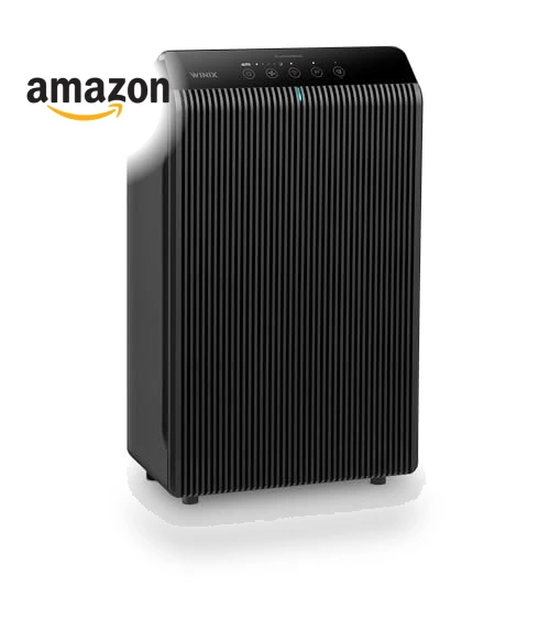 Air Purifier for Home Large Room, True HEPA, High Deodorization Carbon Filter, Auto Mode — Activated Carbon Air Purifiers, Winix