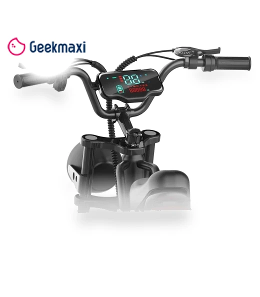 20 Inch Tire Retro Electric Bike — Electric Self-Balancing Scooters, Happyrun