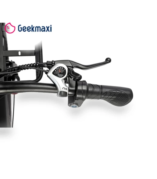Electric Bike — Electric Self-Balancing Scooters, Ridstar