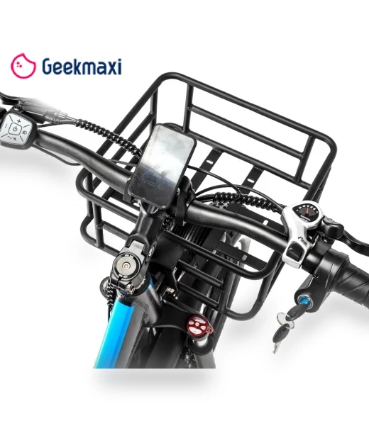 Electric Bike — Electric Self-Balancing Scooters, Ridstar