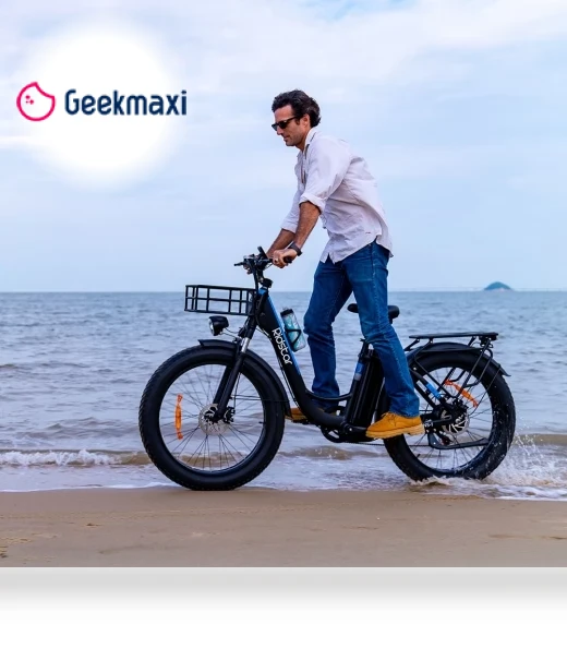 Electric Bike — Electric Self-Balancing Scooters, Ridstar