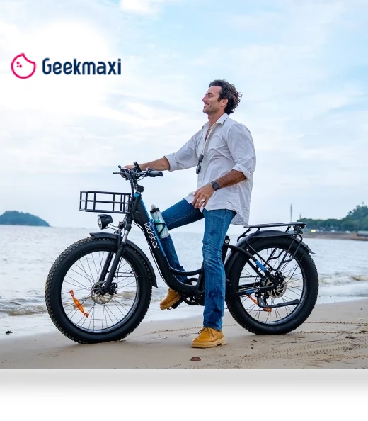 Electric Bike — Electric Self-Balancing Scooters, Ridstar