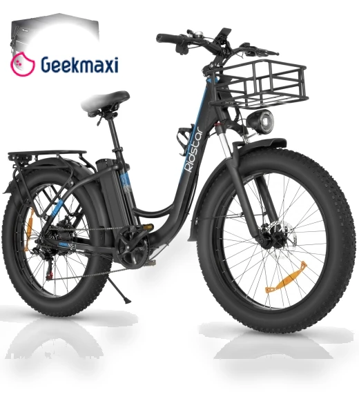 Electric Bike — Electric Self-Balancing Scooters, Ridstar
