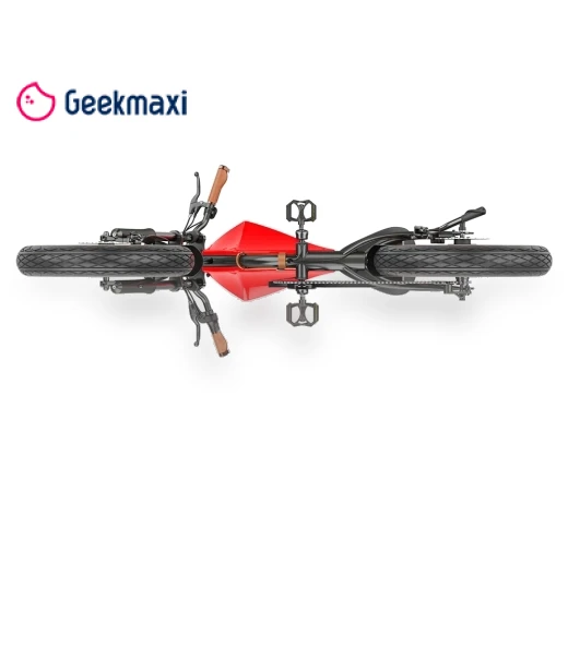 Electric Bike — Electric Self-Balancing Scooters, Hidoes