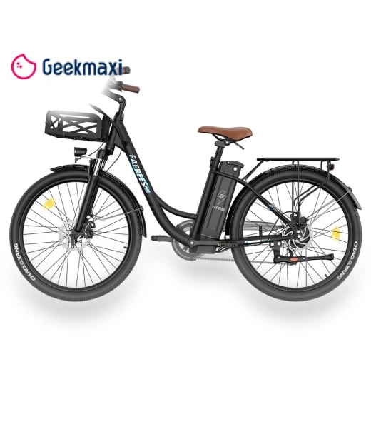 Lasting Electric Bike — Electric Self-Balancing Scooters, Fafrees