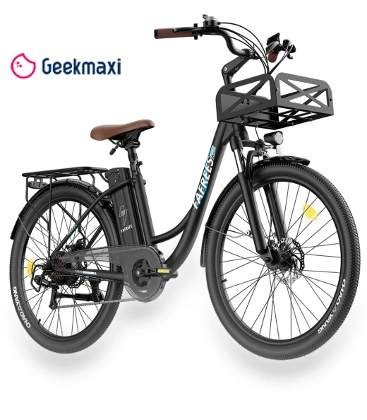 Lasting Electric Bike — Electric Self-Balancing Scooters, Fafrees